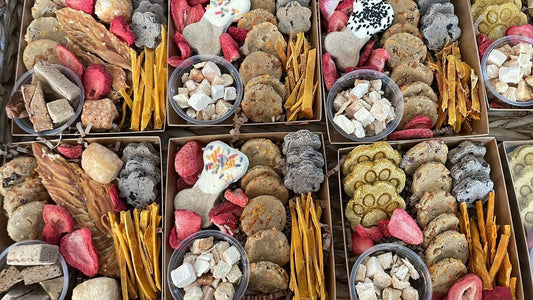 Barkuterie Box : Customization